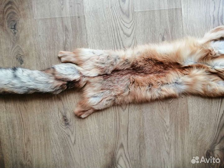 Шкура лисы