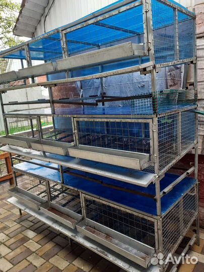 Клетки для кур несушек