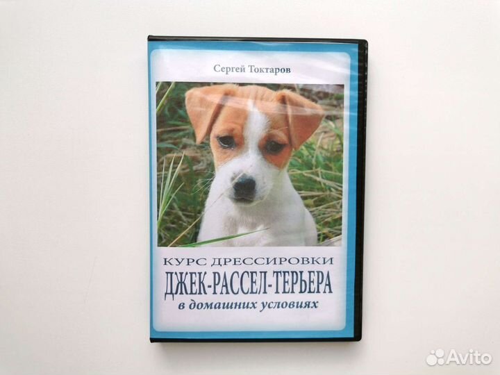 Курс дрессировки Джек рассел терьера DVD