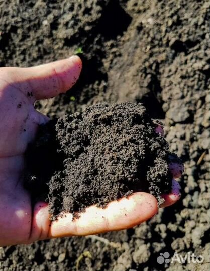 Земля плодородная