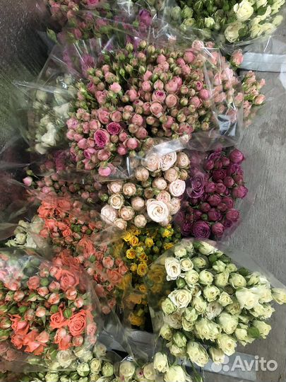 Кустовые розы микс оптом и в розницу
