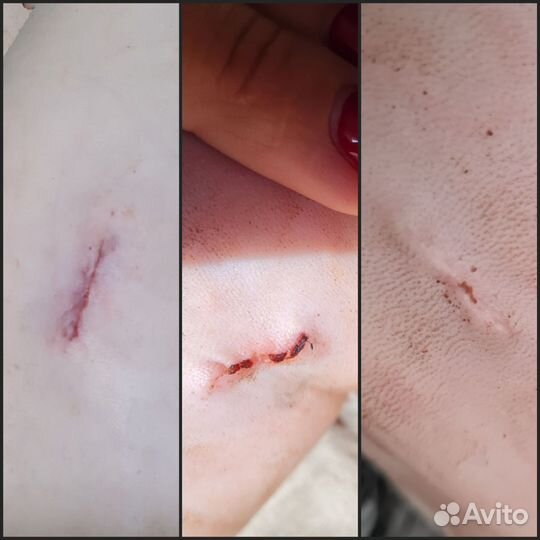 Ветеринарный врач на дом (+узи, тонометрия)