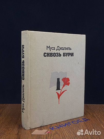 Сквозь бури