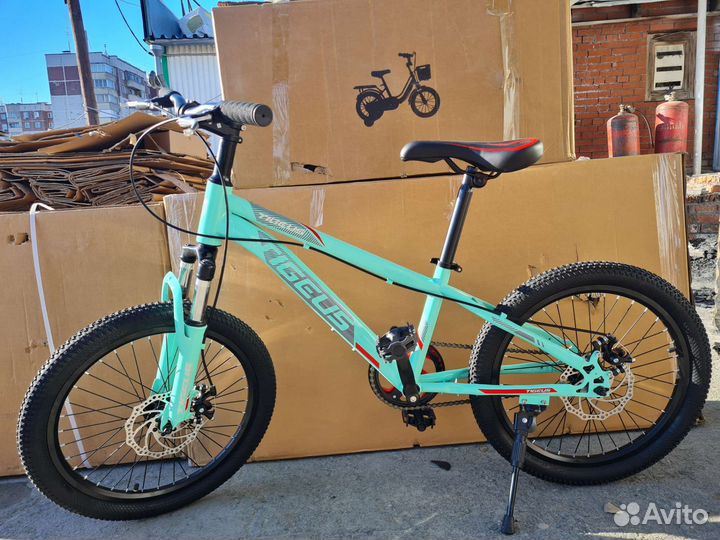 Велосипед на 20 колёс