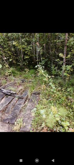 Участок 4 сот. (СНТ, ДНП)