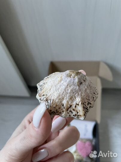 Набор свечи в ракушках, мыло,серьги