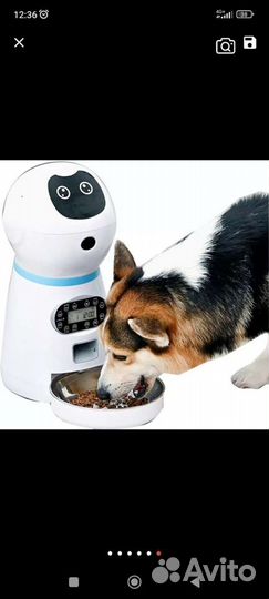 Умная автоматическая кормушка для животных