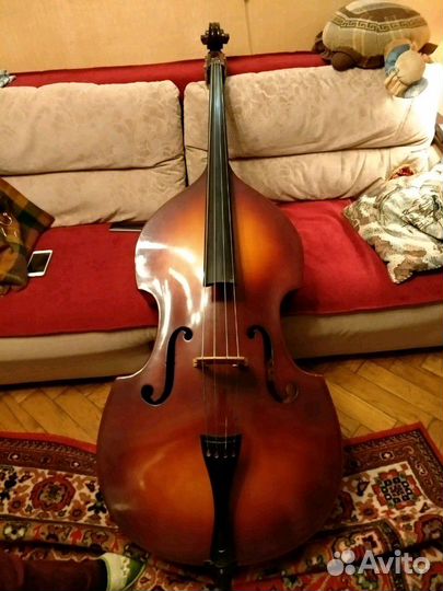 Контрабас Музима