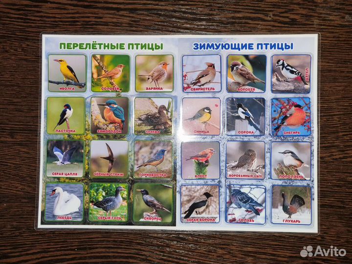 Развивающая игра для детей