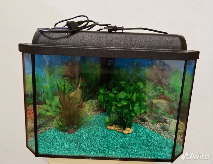 Аквариум