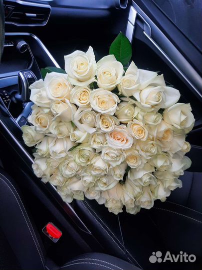 Розы свежие Prestige красивые с доставкой цветы