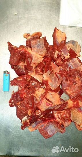 Мясо оптом