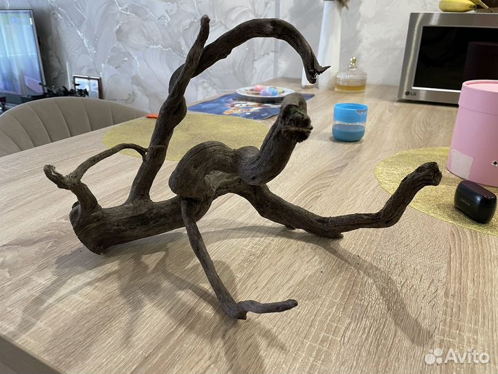 Продам корягу в аквариум