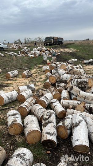 Дрова березовые