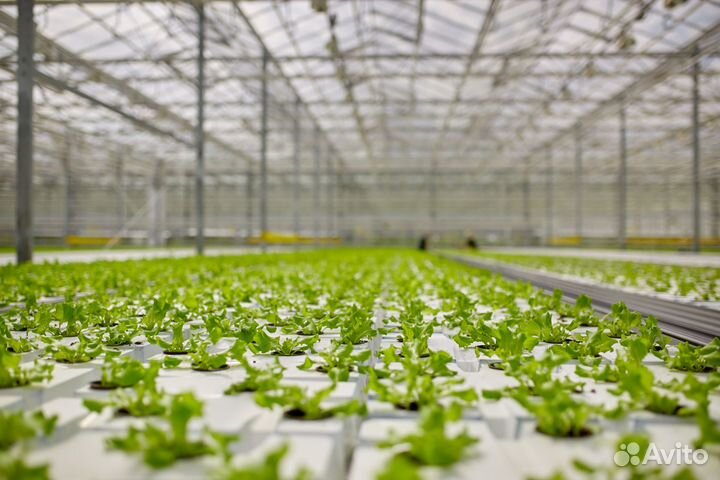 Рабочий по защите растений (Подработка)