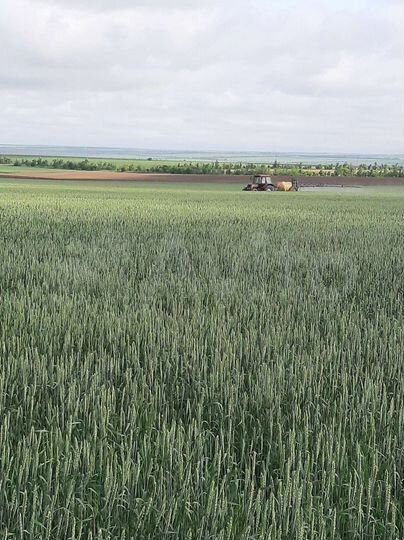 Участок 30 га (СНТ, ДНП)