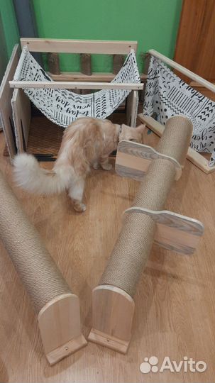 Комплекс, стенка, когтеточка для кошек