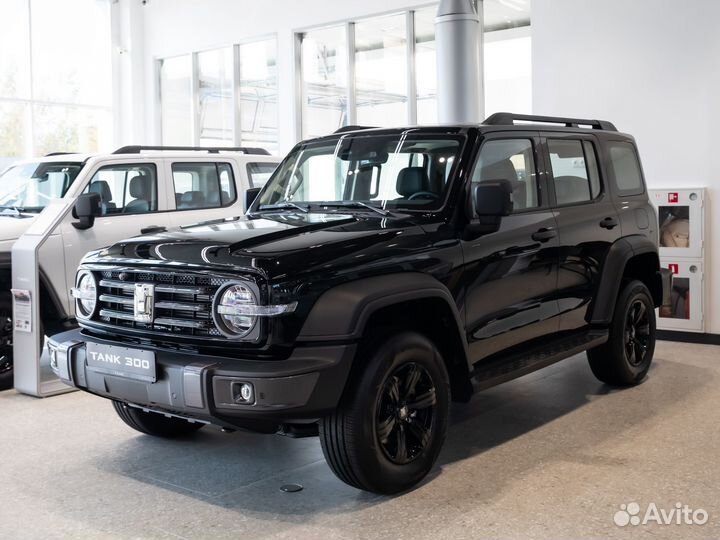 Tank 300 2.0 AT, 2024