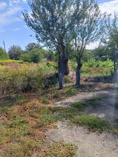 Участок 12,7 сот. (ИЖС)