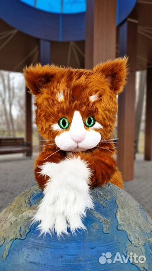 Ростовая кукла Кот, кошечка на мероприятие