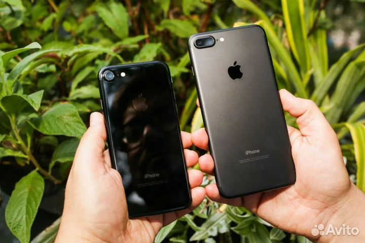 iPhone 7 Plus