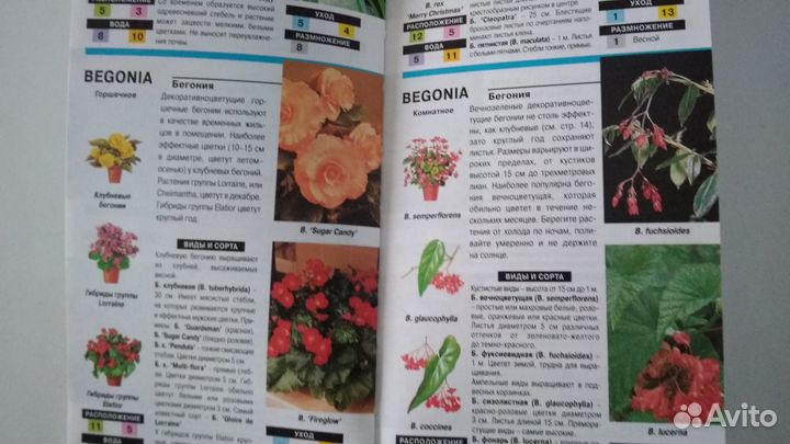 Книжка о комнатных растениях