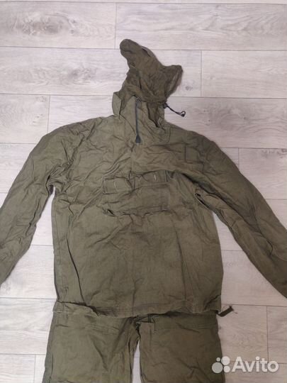 Инцифалитка