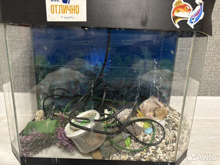 Аквариум