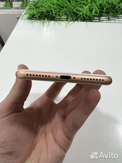 iPhone 8 Plus, 64 ГБ