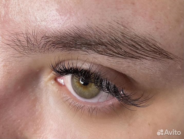 Мастер бровист