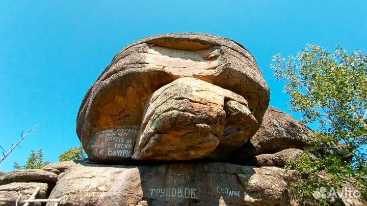 Путевка Алтай летний экспедиции от 5 до 9 дней