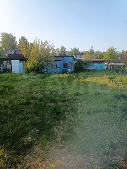 Участок 6 сот. (СНТ, ДНП)