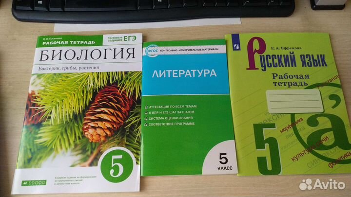 Учебная литература 5-6 класс