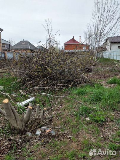 Спил деревьев, покос травы