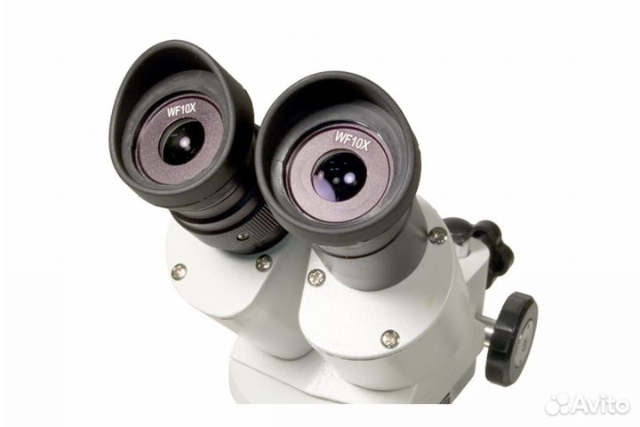 Бинокулярный микроскоп Levenhuk 3ST 35323