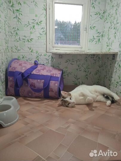 Зоогостиница на природе,номера с личным балконом