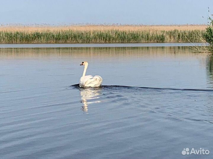 Рыбалка охота отдых в Астрахани на раскатах