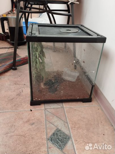 Террариум для рептилий