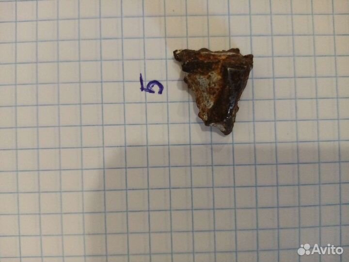 Фрагменты метеорита падения 1998 г