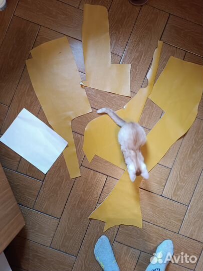 Куски Натуральной кожи