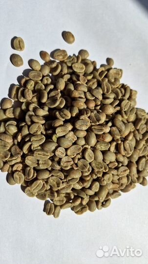 Зеленый кофе. Арабика. Робуста