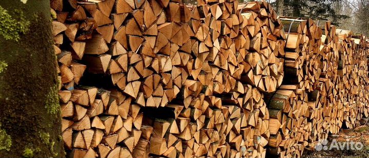 Дрова осина от производителя