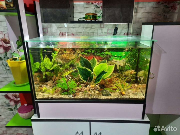 Аквариум