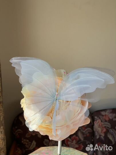 Ростовые бабочки, гигантские бабочки