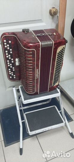 Баян weltmeister