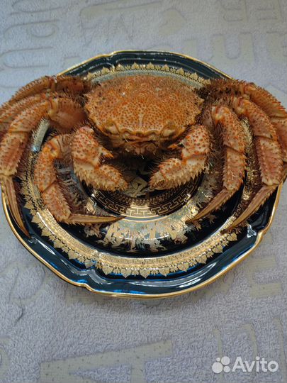 Краб волосатик