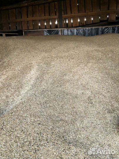 Кормосмесь(овес,горох)