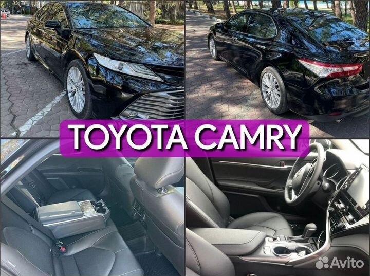 Трансфер комфорт Бетта, пассажирские перевозки