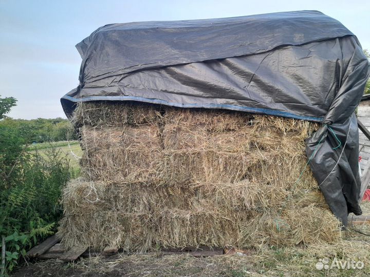 Продам сено в тюках