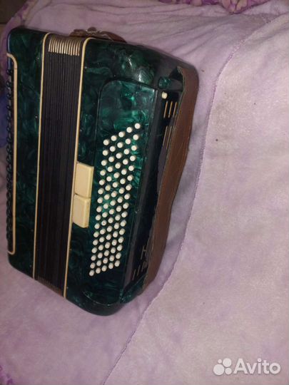 Аккордеон Новосибирск